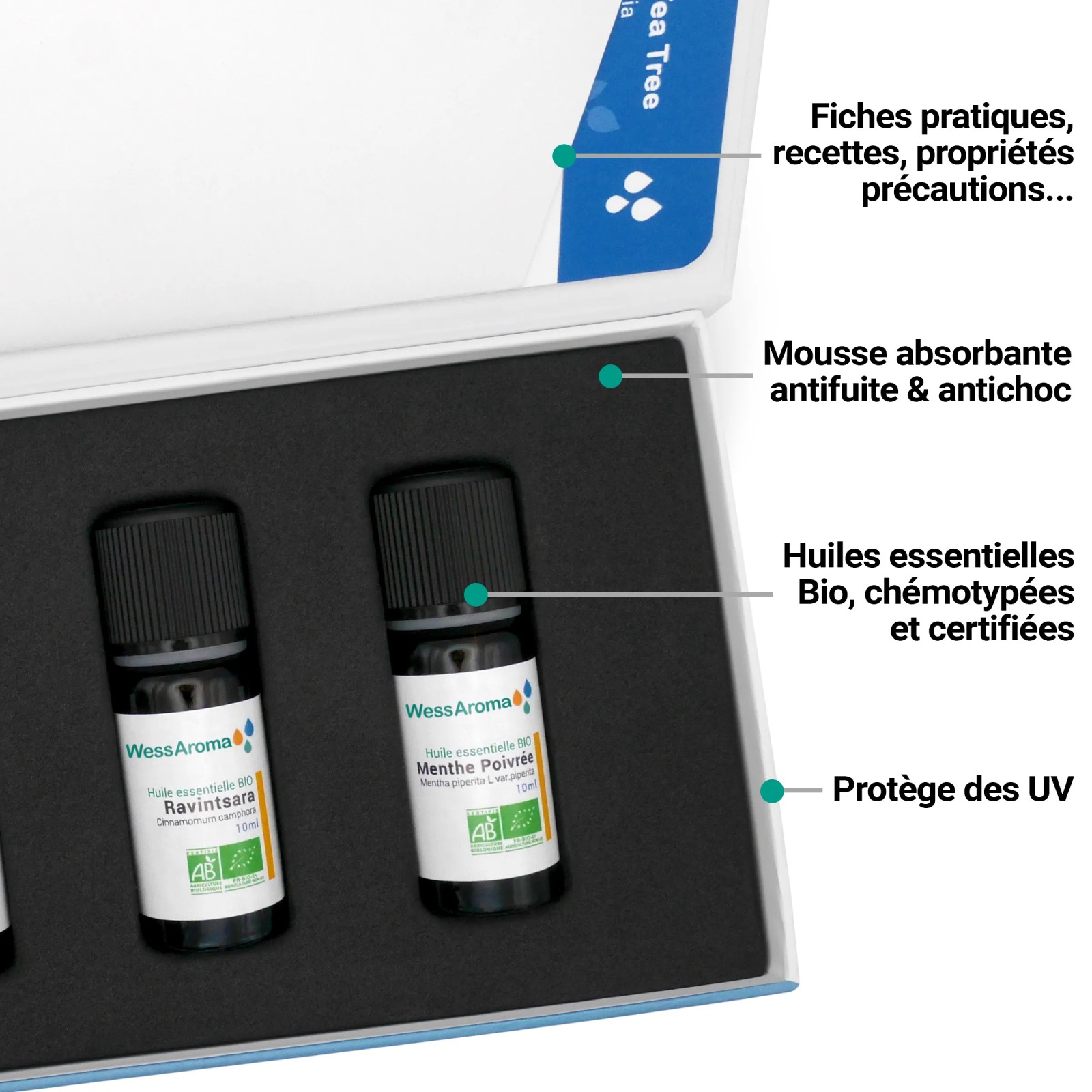 Coffret Quotidien, les huiles essentielles Bio indispensables + 3 Fiches d'utilisation